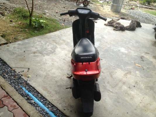 Honda dio af18 Honda dio af18