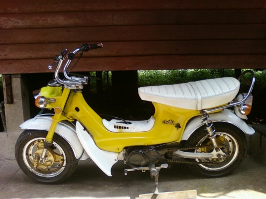 ชาลีแต่งโหลด แนวยุ่น ราคาถูกๆครับ