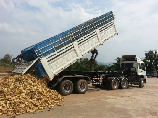 หัวลาก10ล้อIZUSU 2 เพลา รุ่น GXZ360 + หาง3มิตรดั้ม2เพลา + หางคอกสูง3เพลาแท้