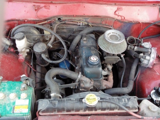 ปล่อยช้างงามสวยๆครับ ปล่อยช้างงามสวยๆครับ