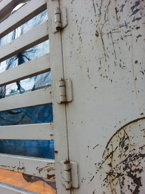 หางเทเลอร์ คอกสูง สภาพสวย รั้วด้านข้าง 2 ข้างสวย พื้นสวยไม่ผุ