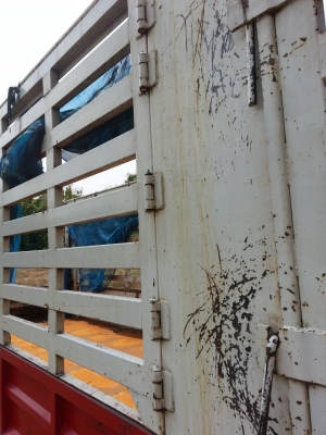 หางเทเลอร์ คอกสูง สภาพสวย รั้วด้านข้าง 2 ข้างสวย พื้นสวยไม่ผุ