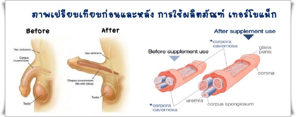 ช่วยลดอาการหลั่งเร็ว หรืออาการไม่แข็งตัว รวมทั้งอาการเรือล่มปากอ่าว 0924549047 หวานค่ะ