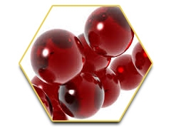 เรซฮอร์ส (Race Horse) -ใหญ่-ทน-แข็ง-แรงดั่งอาชา 0924549047 0991936991 หวานๆค่ะ