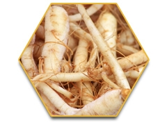 เรซฮอร์ส (Race Horse) -ใหญ่-ทน-แข็ง-แรงดั่งอาชา 0924549047 0991936991 หวานๆค่ะ