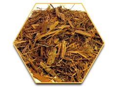 เรซฮอร์ส (Race Horse) -ใหญ่-ทน-แข็ง-แรงดั่งอาชา 0924549047 0991936991 หวานๆค่ะ