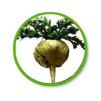 ดับเบิ้ลแม็กซ์ แคปซูล คือสมุนไพรเสริมสมรรถภาพความเป็นชาย ให้คุณเต็มพลังได้เต็ม Maxx