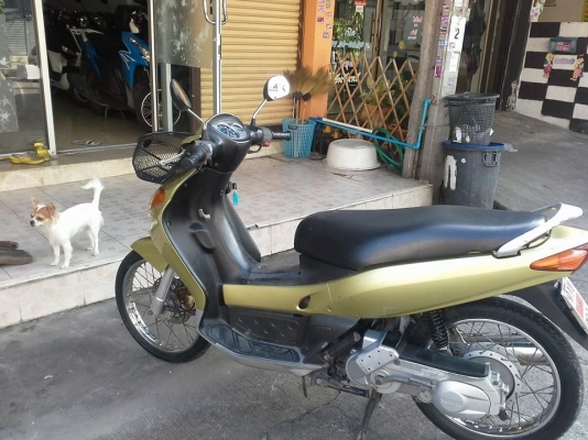 nouvo ตัวเก่า ปี 46 สีทอง วิ่ง 7,000 กม.ไมล์แท้ๆ รถสวย ชุดสีสด เครื่องเดิม แน่นๆ รับประกัน ยางมิชลินอย่างดี ระบบไฟใช้ได้หมด รถให้ฝรั่งเช่า ไม่ช้ำ ขับน้อย ภาษี พรบ.ถึงปีหน้า