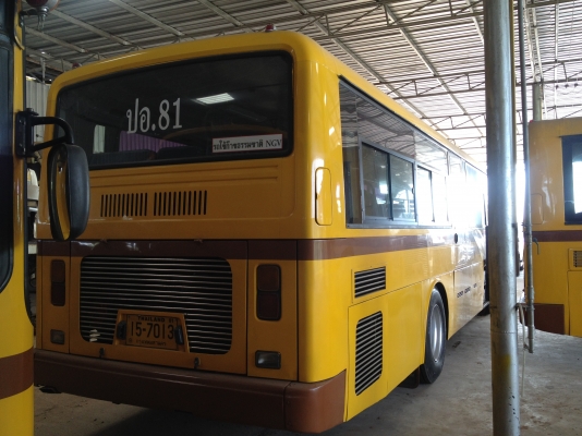 มีรถเมลล์นำเข้าจากเกาหลีพร้อมทะเบียน ทุกคันผ่านการตรวจสอบจากกลมขนส่งพร้อมใช้งาน มีทั้งแดวูและฮุนได เครื่อง GE12TI 340 แรงม้า และ C6AB 290 แรงม้าจูนกล่อง ECU WOODWARD แล้วเรียบร้อย พร้อมติดตั้งเซนเซอร์ประตู เปิดปิดอัตโนมัติ ประตูฉุกเฉิน มี 26 และ 35 ที่นั่