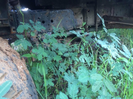 ขายรถ6ล้ออีซูซุตามสภาพ ราคา80,000บาท โทร0810367316