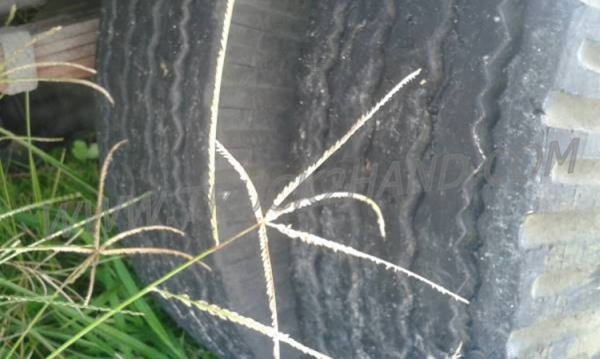 รถบรรทุกตู้แห้ง TOYOTA 6 ล้อ รุ่น DYNA300 พร้อมใช้งาน รถบรรทุกตู้แห้ง TOYOTA 6 ล้อ รุ่น DYNA300 พร้อมใช้งาน