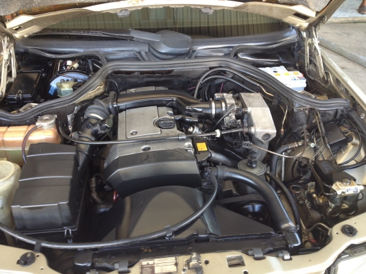 ต้องการขายรถเบนซ์W124