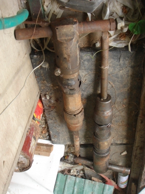 ขายตัวละ  xxxxx.-  เอา 2 ตัว ต่อรองได้