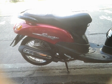 ฟีโน่ปี2551