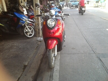 ฟีโน่ปี2551