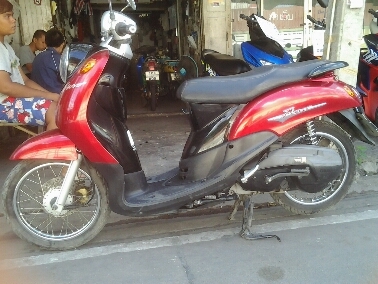 ฟีโน่ปี2551