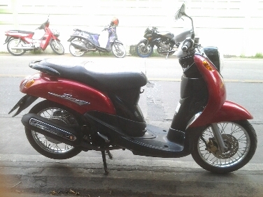 ฟีโน่ปี2551