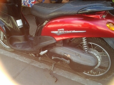 ฟีโน่ปี2551