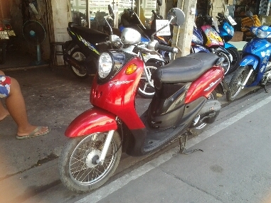 ฟีโน่ปี2551