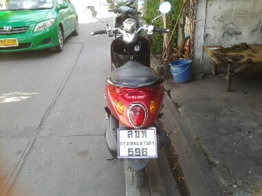 ฟีโน่ปี2551