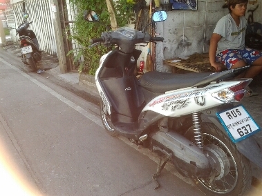 มีโอปี2550