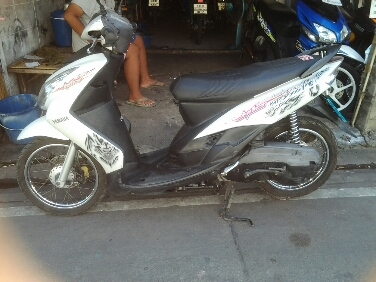 มีโอปี2550