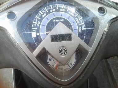 มีโอปี2550