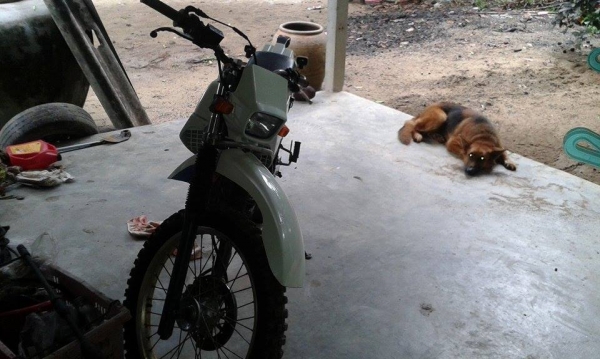 ขายซีโร 225cc.