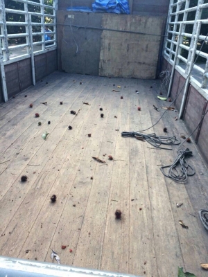 รถฮีโน่ 6 ล้อ รั้ว ( ไม่ดั้ม ) 175 แรงม้า. ปี 55 สนใจติดตอ 081 - 6079515 รถฮีโน่ 6 ล้อ รั้ว ( ไม่ดั้ม ) 175 แรงม้า. ปี 55 สนใจติดตอ 081 - 6079515