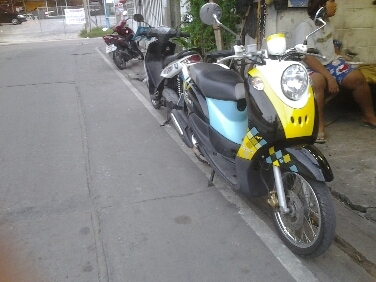 ฟีโน่ปี2555 ฟีโน่ปี2555