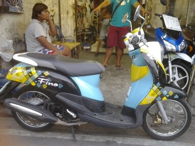 ฟีโน่ปี2555 ฟีโน่ปี2555