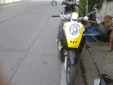 ฟีโน่ปี2555 ฟีโน่ปี2555