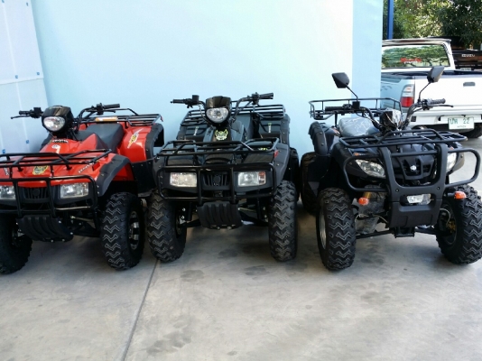 ขาย ATV ของใหม่ มือ1 ขนาด125CC ถึง 250CC ราคาโรงงานครับ มีหลากหลายรุ่น และอะไหล่พร้อม รับประกัน 1 ปี ขาย ATV ของใหม่ มือ1 ขนาด125CC ถึง 250CC ราคาโรงงานครับ มีหลากหลายรุ่น และอะไหล่พร้อม รับประกัน 1 ปี