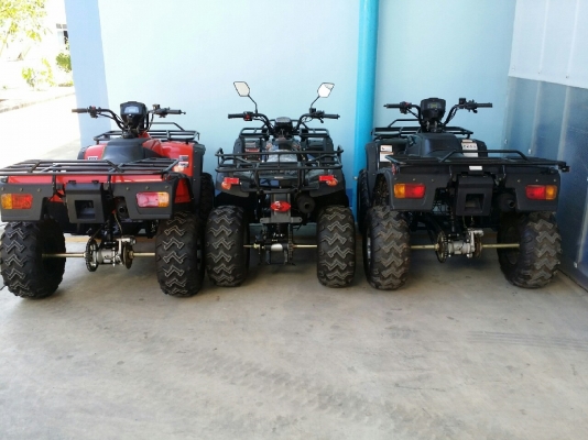 ขาย ATV ของใหม่ มือ1 ขนาด125CC ถึง 250CC ราคาโรงงานครับ มีหลากหลายรุ่น และอะไหล่พร้อม รับประกัน 1 ปี ขาย ATV ของใหม่ มือ1 ขนาด125CC ถึง 250CC ราคาโรงงานครับ มีหลากหลายรุ่น และอะไหล่พร้อม รับประกัน 1 ปี