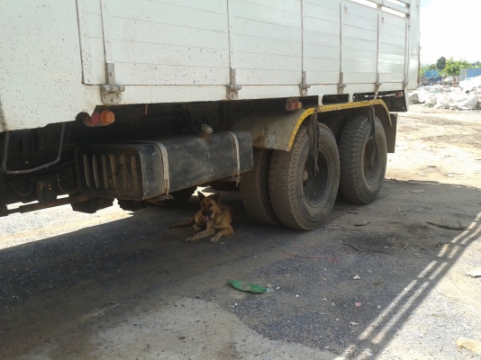 ขายFM117 เครื่อง185แรงม้า HO7C สองเพลาดั๊ม