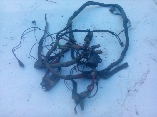 ขายของหลังบ้าน