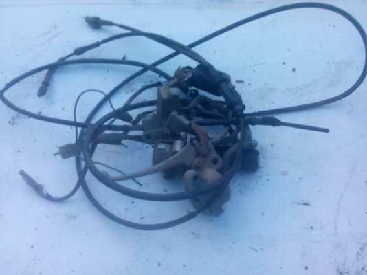 ขายของหลังบ้าน