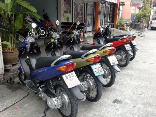 Nouvo เก่า มี 5 คัน เครื่องเดิม ดี ทุกคัน มีเล่ม เอกสารครบ ภาษี พรบ.ไม่หมด รีบๆเลยจ้า