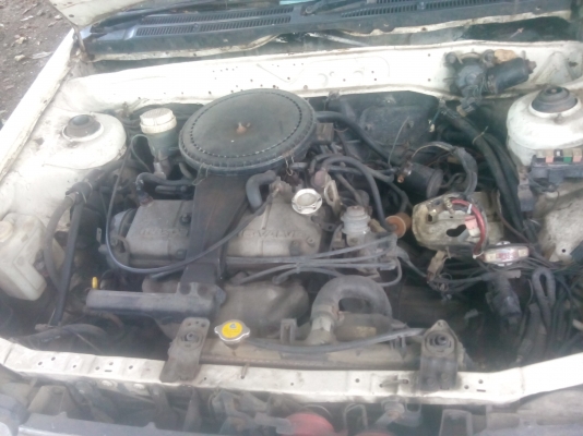 ขายของหลังบ้าน