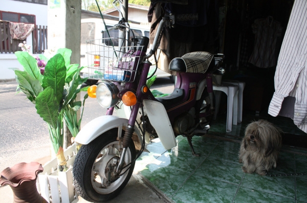 ขาย ชาลี เดิมๆ เครื่องดีมากคับ ไช่งานได้สบายๆ ราคาต่อลองได้ราคาถูกใจขายเลย 0881186474 หรั่งคับ