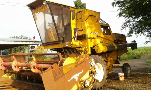 ขาย รถเกี่ยวข้าวโพด เกี่ยวทานตะวัน New Holland 545