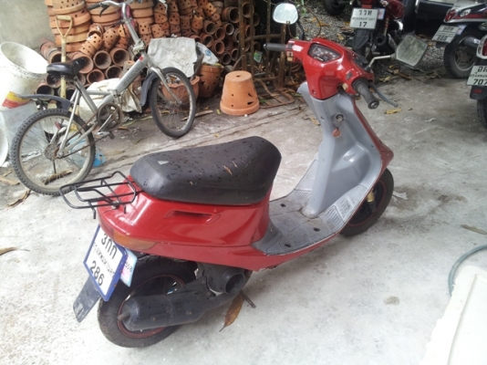 Honda AF25 ทะเบียนแท้-โอน Honda AF25 ทะเบียนแท้-โอน