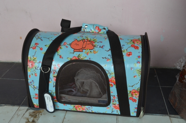 กระเป๋าใส่น้องหมา น้องแมว กระเป๋าใส่น้องหมา น้องแมว