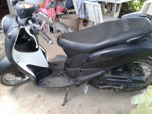 ขายซากฟีโน่ถูก