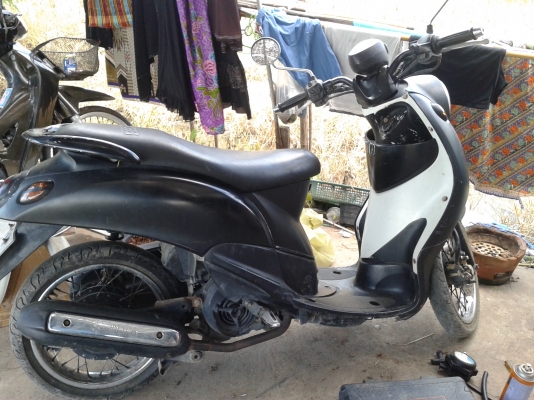 ขายซากฟีโน่ถูก ขายซากฟีโน่ถูก