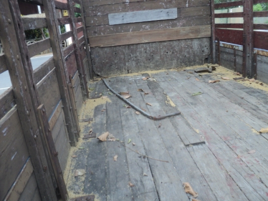 หกล้อ NPR59 ขายแล้วครับ