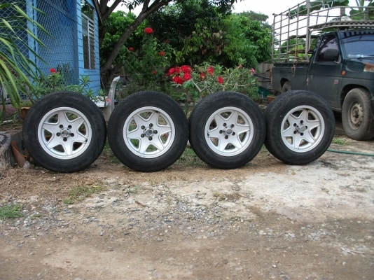 ขายแม็กพร้อมยาง