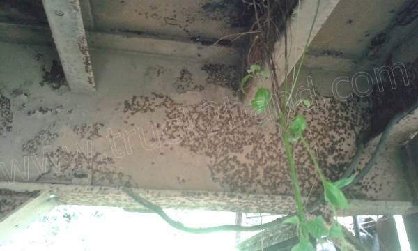 หางพ่วงเทเลอร์พื้นเรียบ 2 เพลาสามมิตร