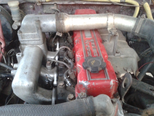 ขายนิสสัน bigm 2500 ฝาแดง แคปเล็ก