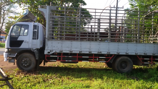 HINO FF1j 210 แรง ยาง9 .ขอบ 20 ยาว 6.20 ห้างแท้สภาพพร้อมใช้งาน  K.อู๊ด 081-2995537